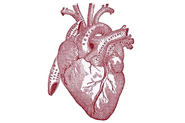 Understanding Congestive heart failure
